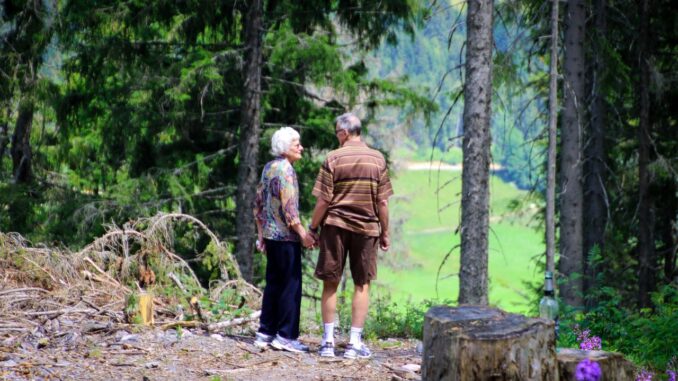 To gamle mennesker står i naturen på deres rejse